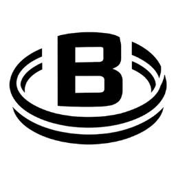 Birth Year Battle logo
